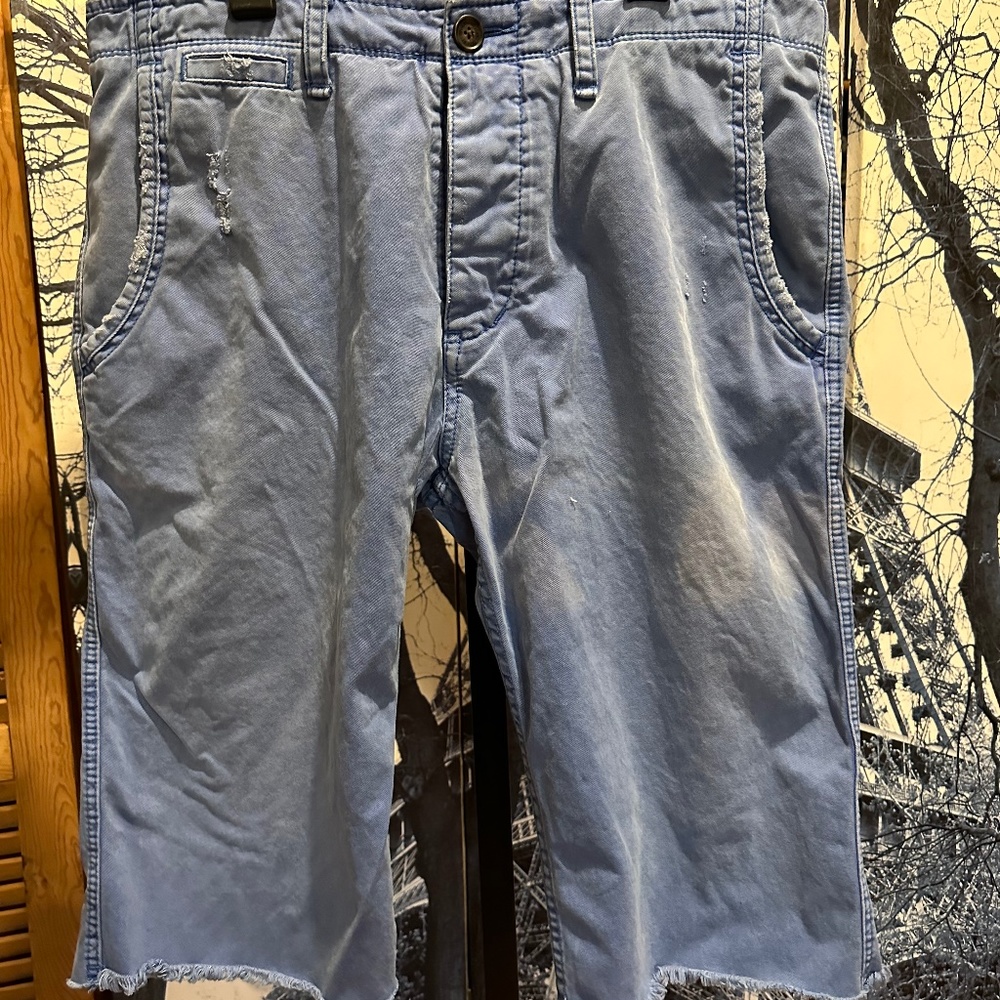 True Religion Men’s Chino Shorts